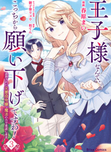 王子様なんて、こっちから願い下げですわ！～追放された元悪役令嬢、魔法の力で見返します～3